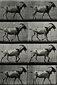 Goat Walking (1887)